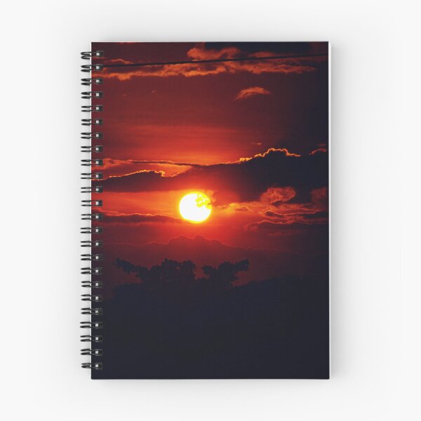 Item preview, FLORA #26 - Cypress Tree Silhouetted by Incredible Sunset designed and sold by DEL-Productions.