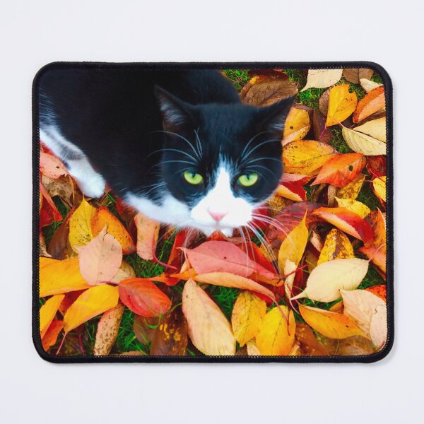 Item preview, Otoño gato blanco y negro en las hojas designed and sold by GingerCatCo.