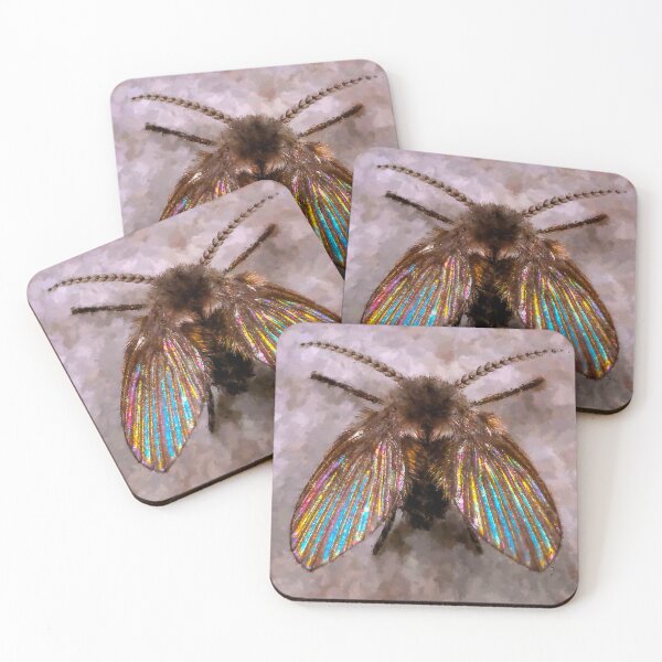 Item preview, Psychodidae Clogmia Albipunctata, Cute Drain Flies, Bathroom Moth Fly Clogmia Albipunctata, Household Drain Fly designed and sold by Trendymotion.