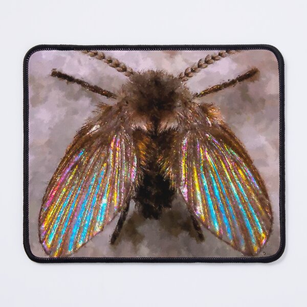 Item preview, Psychodidae Clogmia Albipunctata, Cute Drain Flies, Bathroom Moth Fly Clogmia Albipunctata, Household Drain Fly designed and sold by Trendymotion.