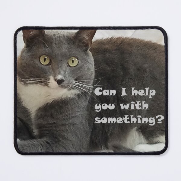 Item preview, Grumpy Kitty Interruption designed and sold by MooseDogPhotos.