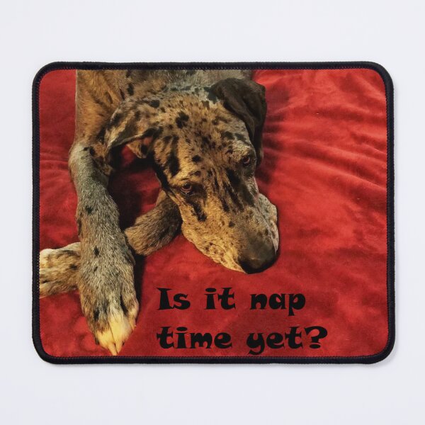 Item preview, Great Dane Nap Dog designed and sold by MooseDogPhotos.
