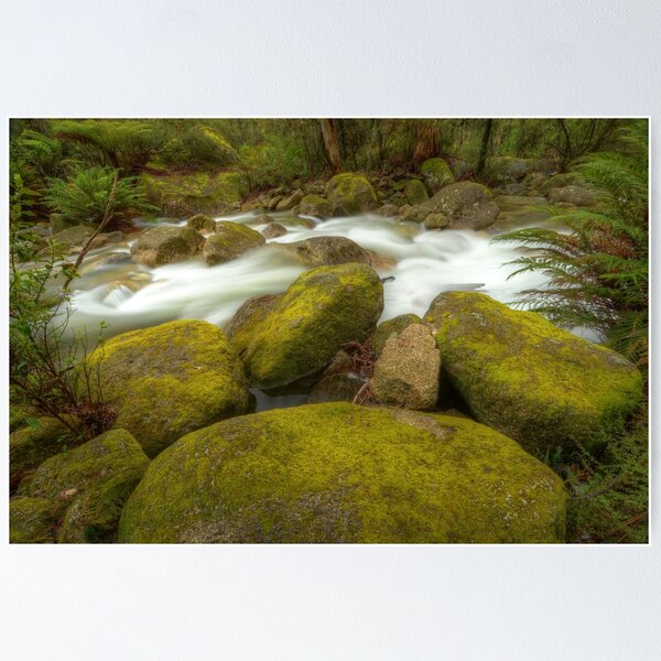 Item preview, Eurobin Creek, Mount Buffalo designed and sold by Kevin McGennan.