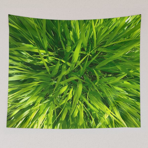 Item preview, Time for a Rest in the Green Luscious Grass of Heaven designed and sold by Photomersion.