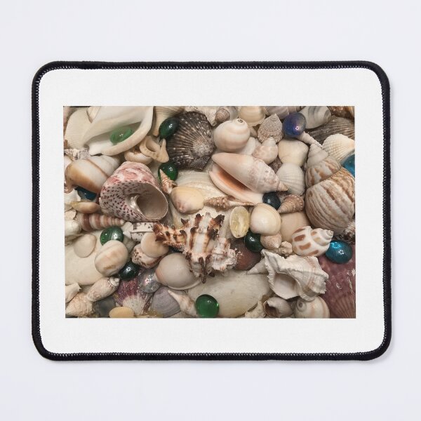 Item preview, Shells in the Hundreds designed and sold by MUZA9.