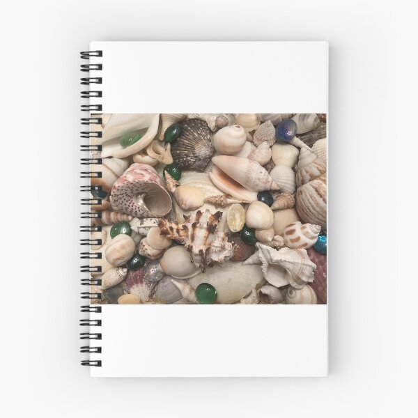 Item preview, Shells in the Hundreds designed and sold by MUZA9.
