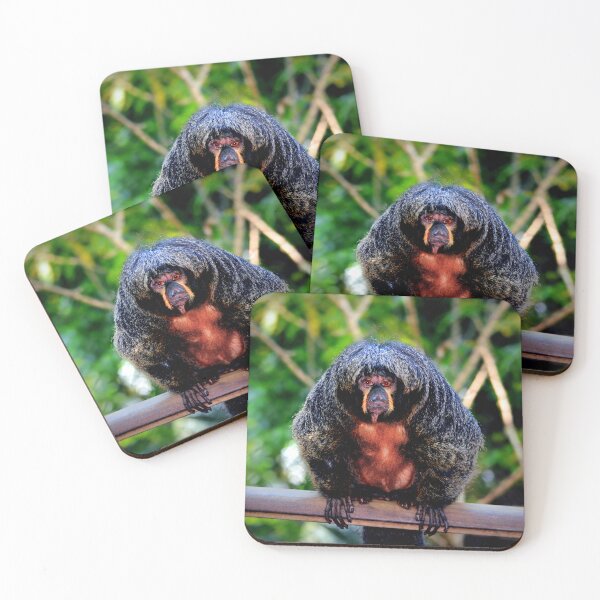 Item preview, Female white-faced saki designed and sold by Savannah Gibbs.