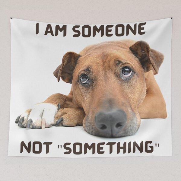 Item preview, I am Someone Not "Something" designed and sold by CreativeMagi.
