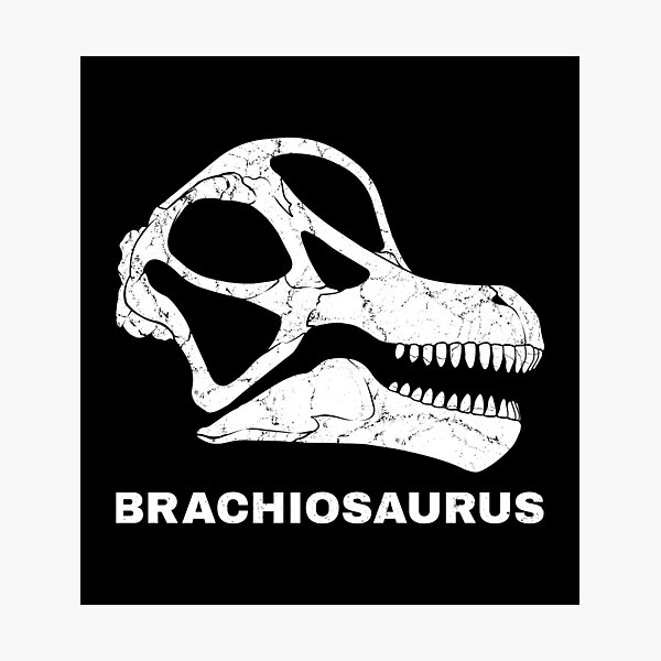 Artikel-Vorschau von Brachiosaurus Fossil , designt und verkauft von NicGrayGraphic.