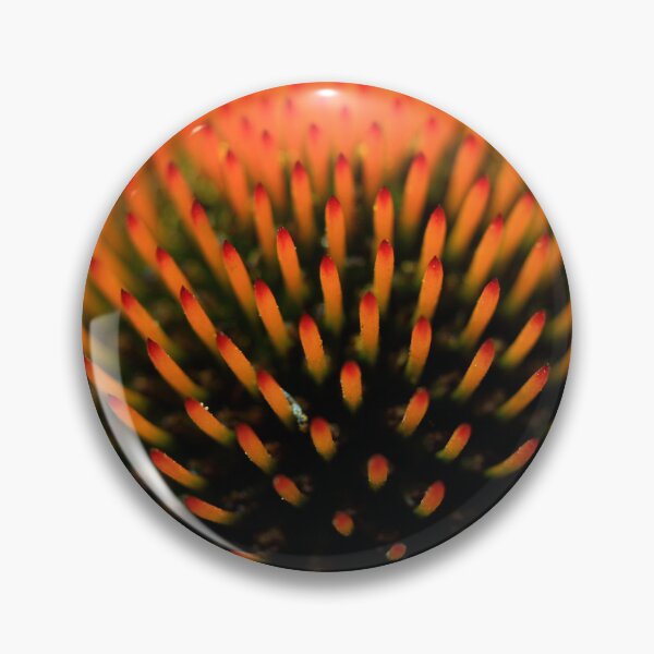 Item preview, Echinacea flower in summer garden designed and sold by olena2552.