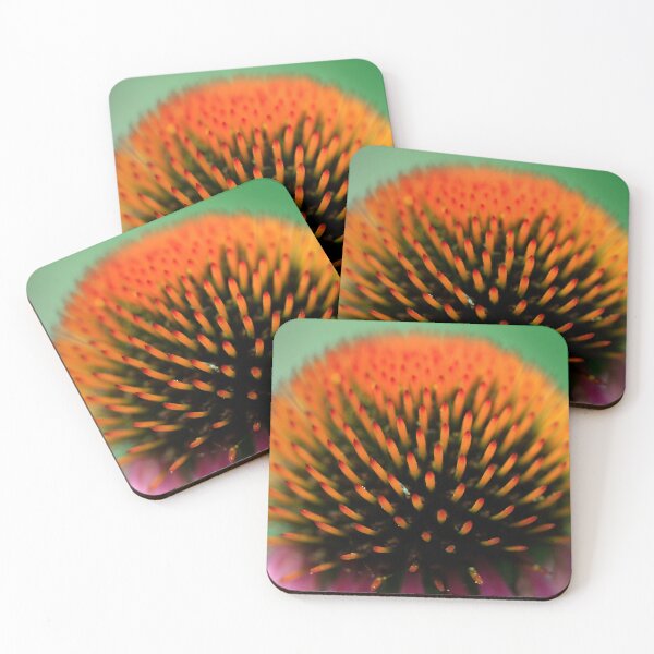 Item preview, Echinacea flower in summer garden designed and sold by olena2552.