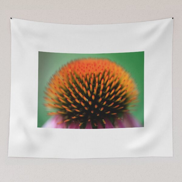 Item preview, Echinacea flower in summer garden designed and sold by olena2552.