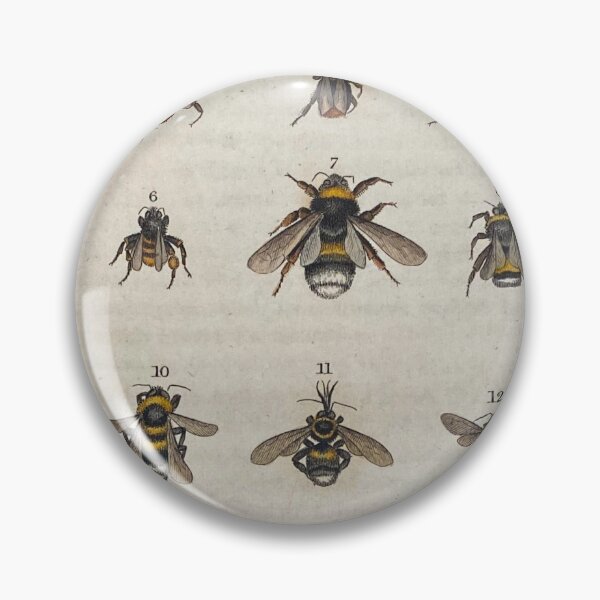 Item preview, Humble Bees designed and sold by Lloyd Library & Museum.