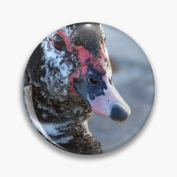 Item preview, Muscovy Duck #0009 designed and sold by Jeffrey Mask.