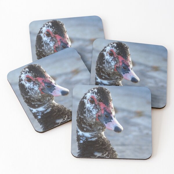 Item preview, Muscovy Duck #0009 designed and sold by Jeffrey Mask.