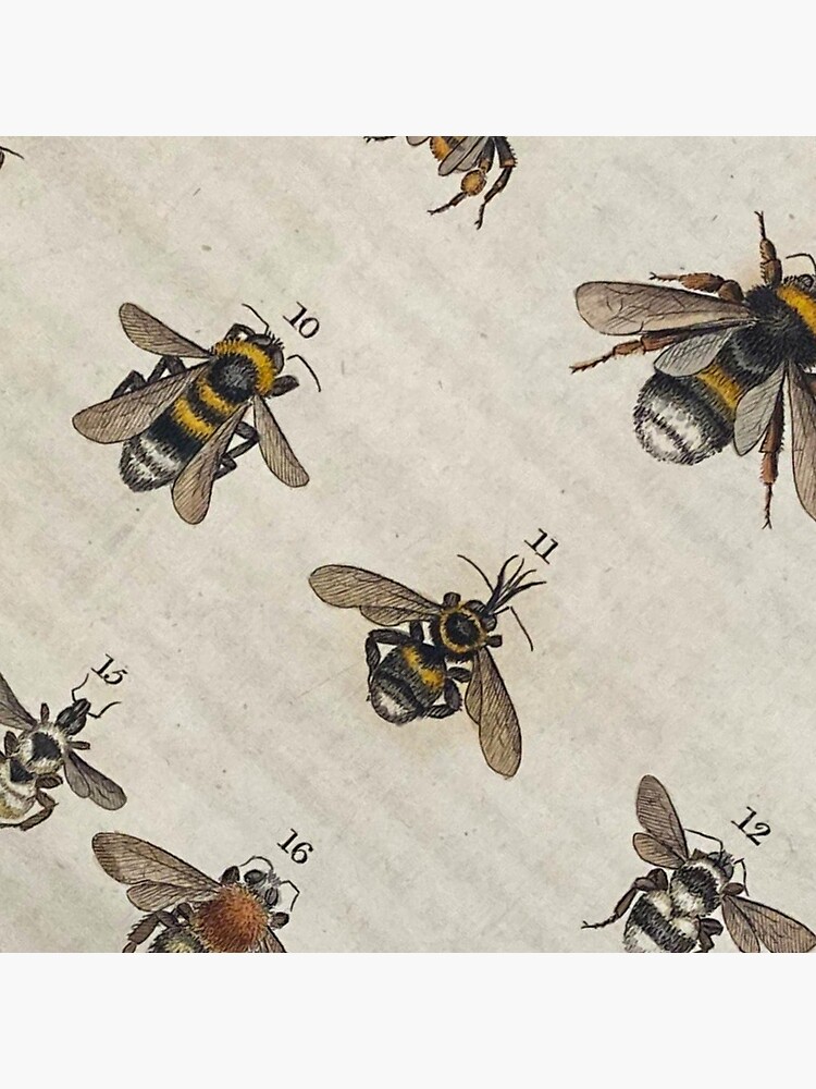 Discover Bumble bees Throw Pillow