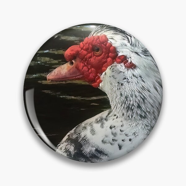 Item preview, Muscovy Duck #0010 designed and sold by Jeffrey Mask.