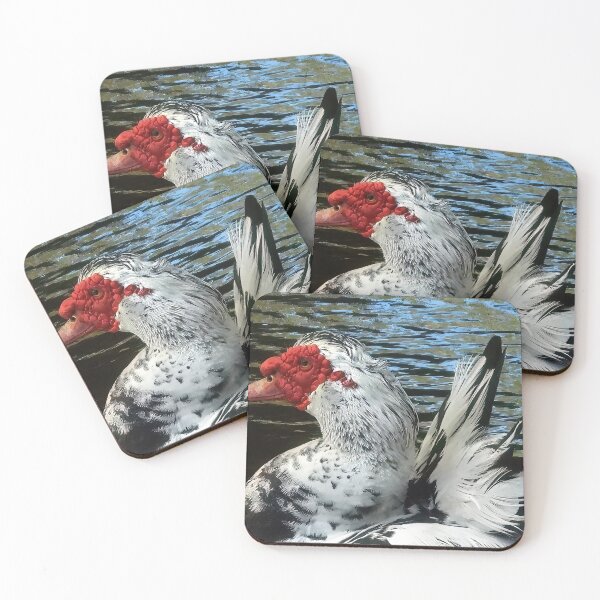 Item preview, Muscovy Duck #0010 designed and sold by Jeffrey Mask.