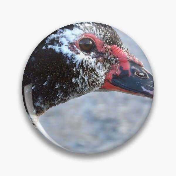 Item preview, Muscovy Duck #0011 designed and sold by Jeffrey Mask.