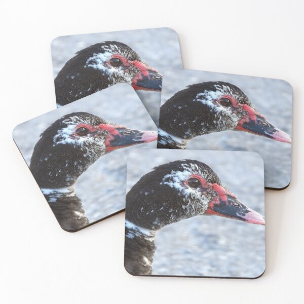 Item preview, Muscovy Duck #0011 designed and sold by Jeffrey Mask.