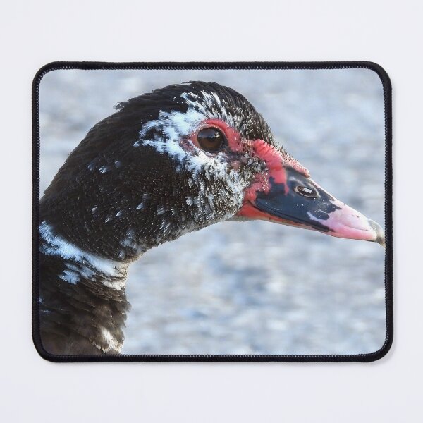 Item preview, Muscovy Duck #0011 designed and sold by Jeffrey Mask.