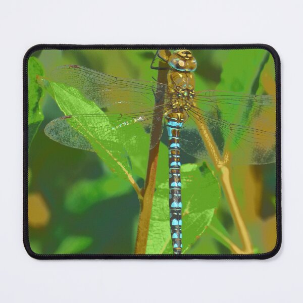 Item preview, Abstract Dragonfly Photograph Blue and Green designed and sold by LauraLovesRobin.