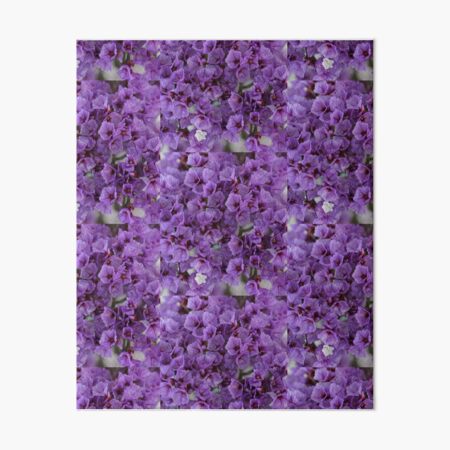 Purple Sea Lavender Art Board Print