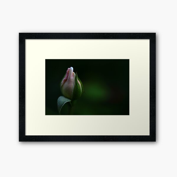 Stripped in Layers Framed Art Print