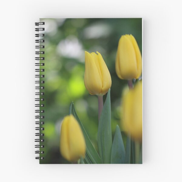 Item preview, Yellow tulips  designed and sold by vanessal.