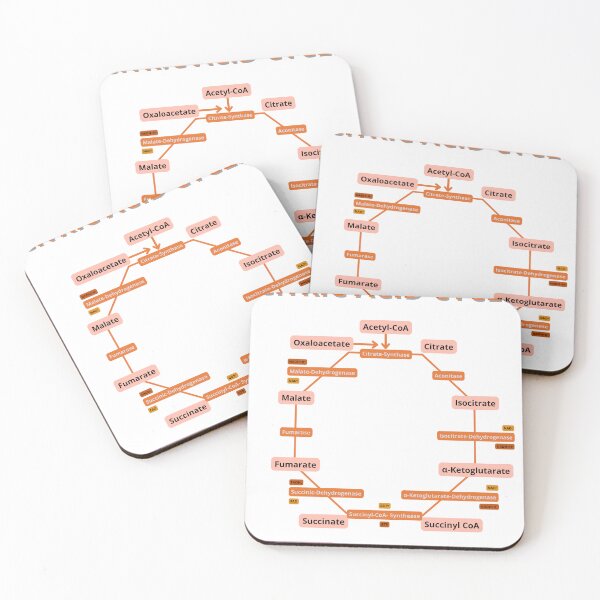 Item preview, Krebs Cycle designed and sold by Biology-Hub.