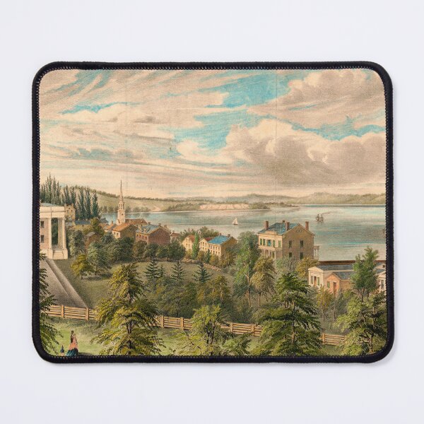 Item preview, Aurora, New York from the "North Poplars" (1848) designed and sold by allhistory.