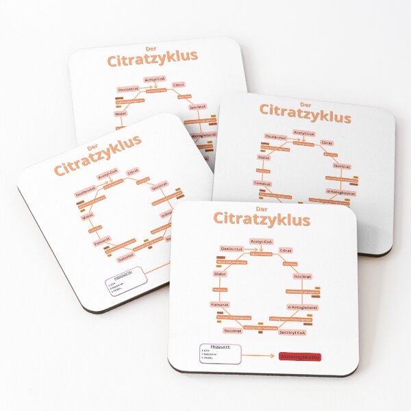 Item preview, Krebs cycle designed and sold by Biology-Hub.