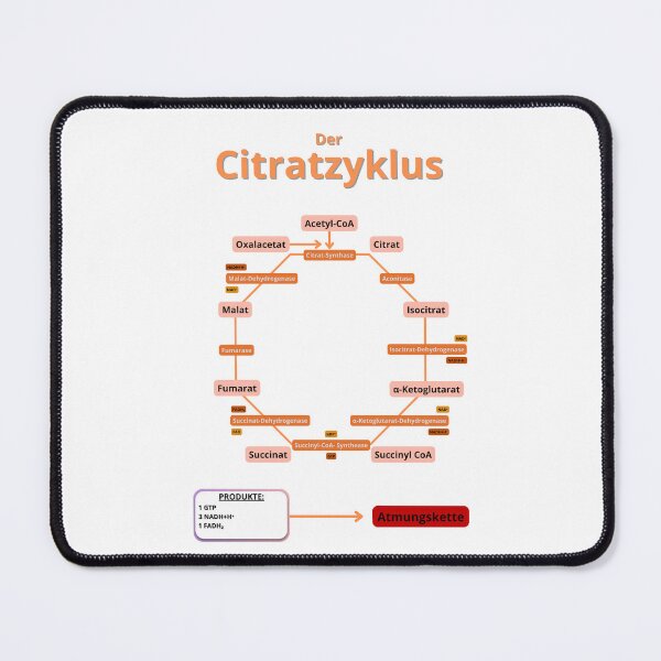 Item preview, Krebs cycle designed and sold by Biology-Hub.