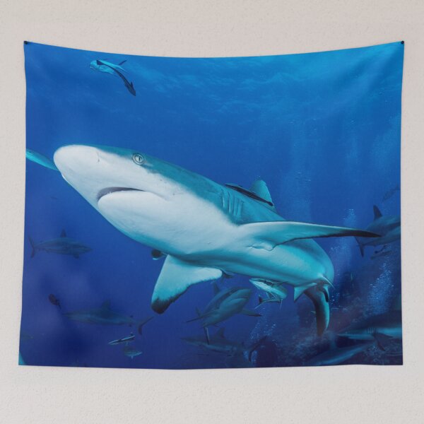 Item preview, Reef Shark on the Great Barrier Reef Nov 13 designed and sold by seaearthandsky.