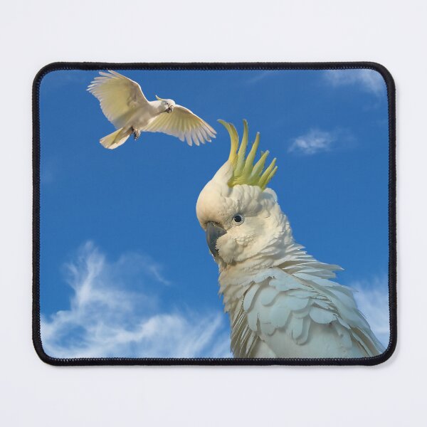 Item preview, Sulphur Crested Cockatoos designed and sold by Orianah.