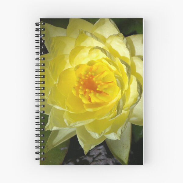 Item preview,  No Mud, No Lotus designed and sold by Photomersion.