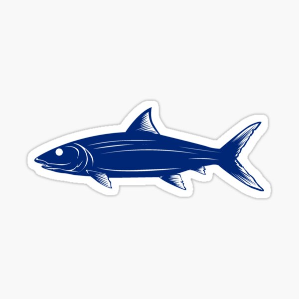 Bonefish Stickers for Sale, Free US Shipping