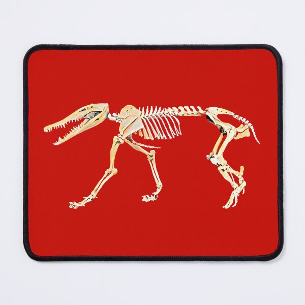 Item preview, The Bones Of Ammit The Devourer (2) designed and sold by DotorEaon.