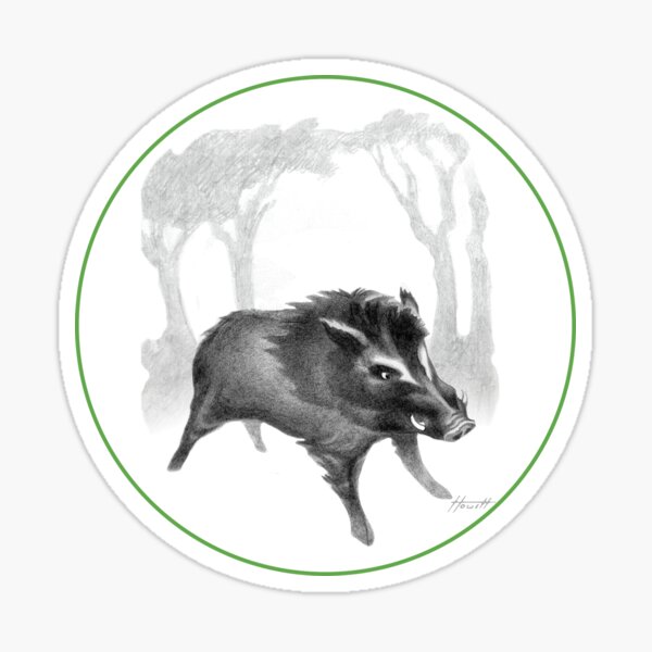 Wild Boar At Bay Sticker