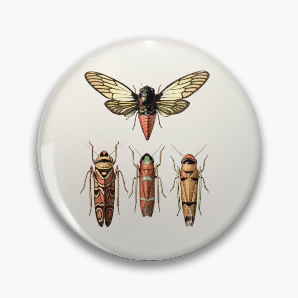 Artikelvorschau, Insekten & Anreiz / Sinnbild entworfen und verkauft von ersartz.