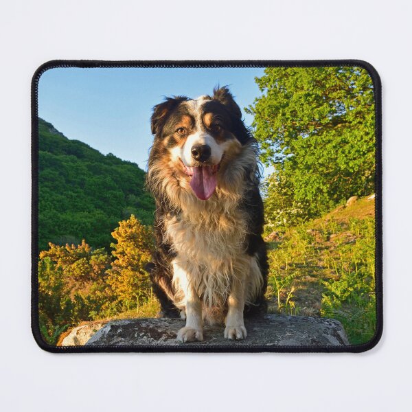Item preview, Paws for thought. designed and sold by Michael Haslam.