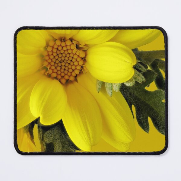 Item preview, Golden Glow designed and sold by NanaRusty.