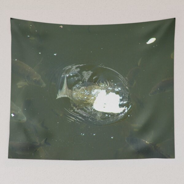 Item preview, Bream Starting Feeding Frenzy  designed and sold by MottoDigging.