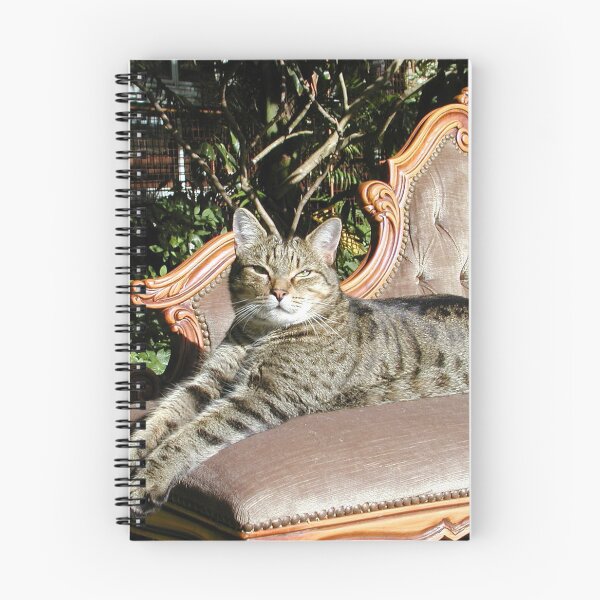 Item preview, King Tiggy The Cat on His Throne designed and sold by MottoDigging.