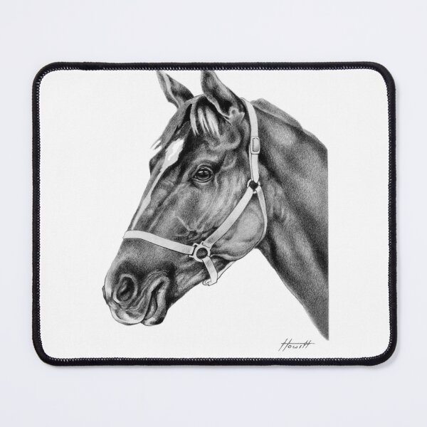 Item preview, Affirmed (USA) Thoroughbred Stallion designed and sold by Patricia Howitt.