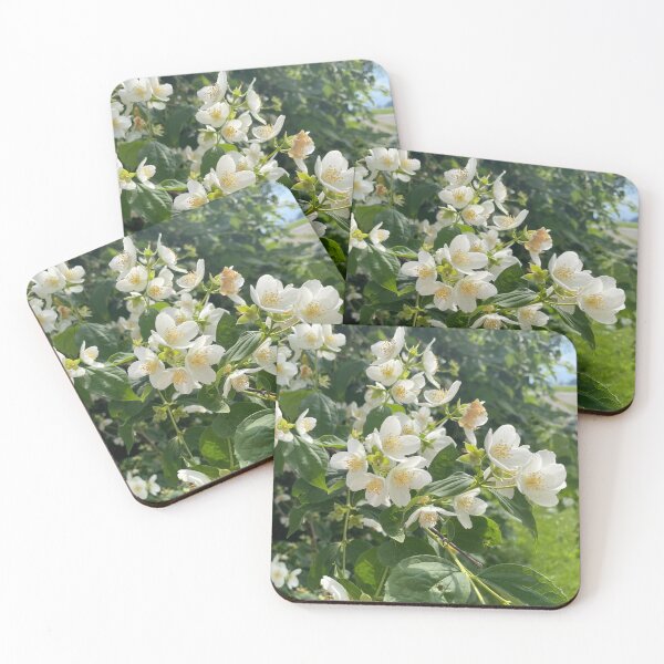 Item preview, Orange blossoms  designed and sold by Timstarstudio.