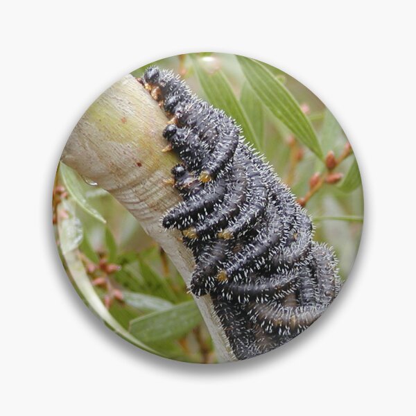 Item preview, Spitfire Sawfly Caterpillars on Gum Tree designed and sold by MottoDigging.