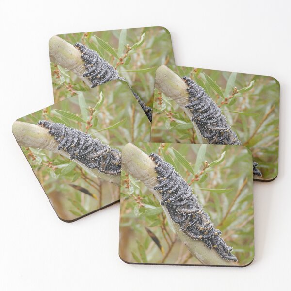 Item preview, Spitfire Sawfly Caterpillars on Gum Tree designed and sold by MottoDigging.