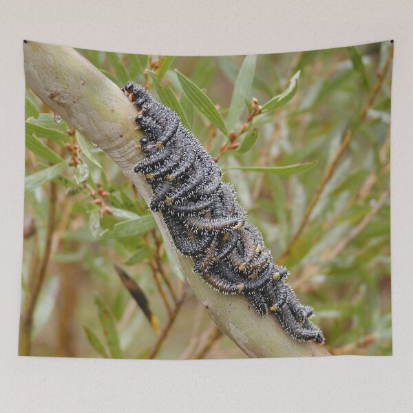 Item preview, Spitfire Sawfly Caterpillars on Gum Tree designed and sold by MottoDigging.