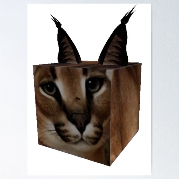 Como Hacer Un Cubo de Floppa Tutorial • Jorclax , gato floppa para